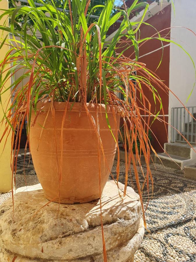 הוילה Rhodes City Yiannis Sokaki Detached House מראה חיצוני תמונה