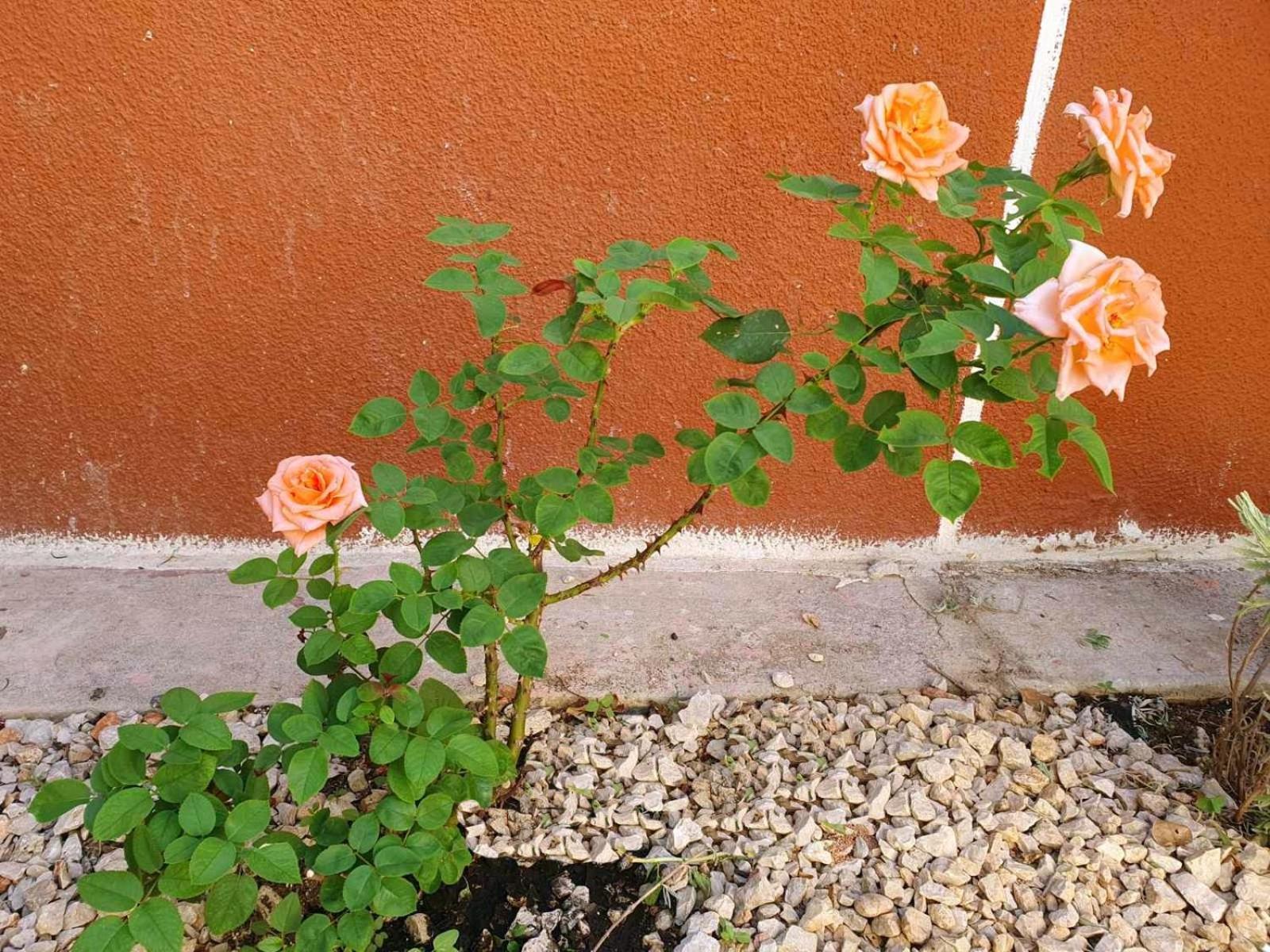 הוילה Rhodes City Yiannis Sokaki Detached House מראה חיצוני תמונה